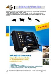 ECHOGRAPHE VETERINAIRE