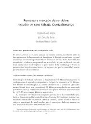 Remesas y mercado de servicios: estudio de caso SalcajÃ¡ - Red ...