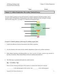 Chapter 9 Reading Guide - Shoreline