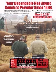 View Complete PDF Catalog (very large file) - Bieber Red Angus ...