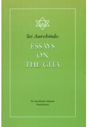 Essays on the Gita