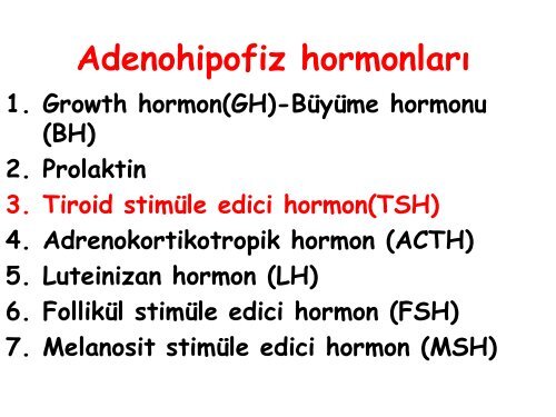 Endokrin Sistem ve Hastaliklari.pdf