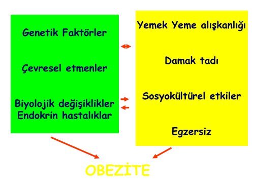 Endokrin Sistem ve Hastaliklari.pdf