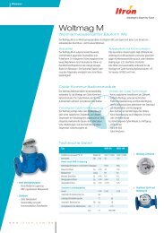 P0303 Woltamag TS0411.QXD:brochure Heat Itron ... - Allmess GmbH