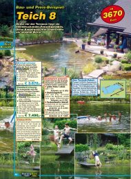Teich 1 Naturagart