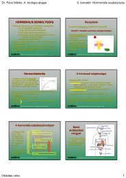 Abiológia alapjai 6 SZ.pdf