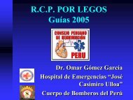 guias 2005 rcp por legos - CPR