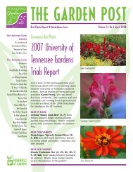 April - UT Gardens - The University of Tennessee
