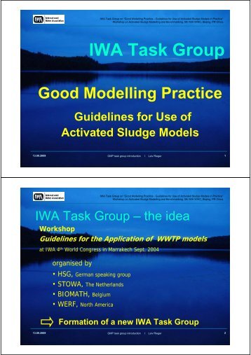 IWA Task Group Good Modelling Practice Guidelines for Use of ...