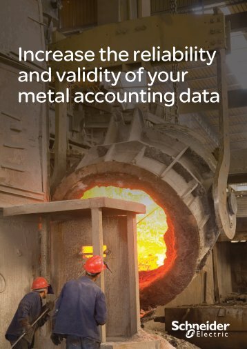 Plant Metal Accounting - Schneider Electric