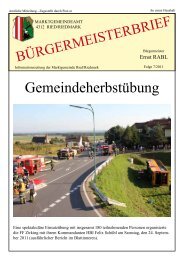 (1,23 MB) - .PDF - Ried in der Riedmark