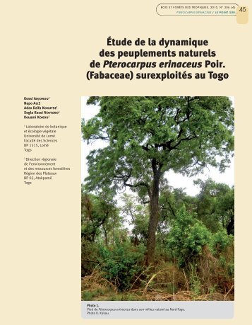 (Fabaceae) surexploités au Togo - Bois et forêts des tropiques - Cirad