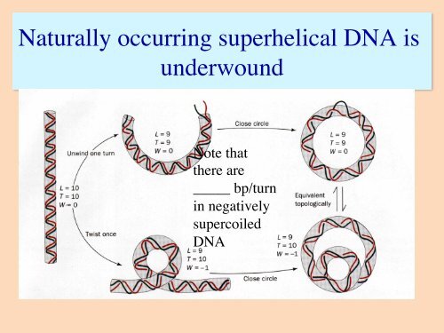 Lehninger Principles of Biochemistry - IBMC