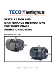 Instruction Manual - TECO-Westinghouse Motor Company