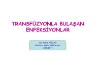 Transfüzyonla Bulaşan Enfeksiyonlar