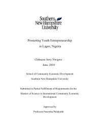 Promoting youth entrepreneurship in Lagos, Nigeria - SNHU ...