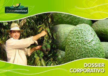 DOSSIER CORPORATIVO - Avocados.tv