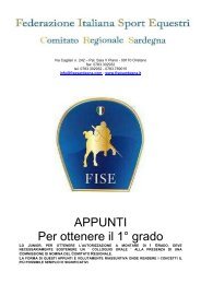 APPUNTI Per ottenere il 1Â° grado - FISE Comitato Regionale ...