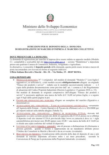 ISTRUZIONI PER LA COMPILAZIONE DELLA DOMANDA DI ...