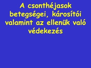 A csonthÃƒÂ©jasok kÃƒÂ¡rosÃƒÂ­tÃƒÂ³i ÃƒÂ©s az ellenÃƒÂ¼k valÃƒÂ³ vÃƒÂ©dekezÃƒÂ©s