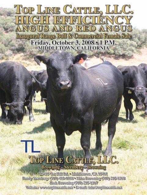 TOP LINE CATTLE, LLC. - Angus Journal