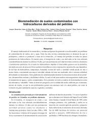 Bioremediación de suelos contaminados con hidrocarburos ...