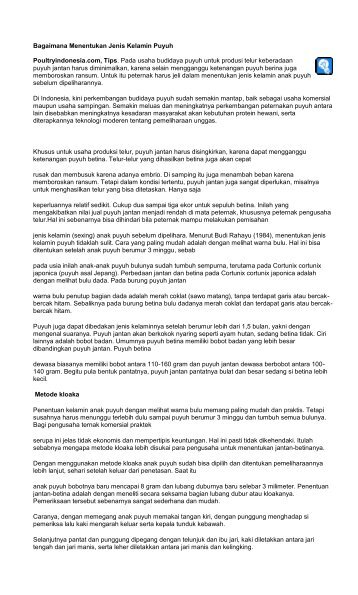 Bagaimana Menentukan Jenis Kelamin Puyuh Poultryindonesia.com