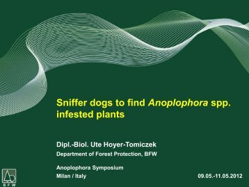 Sniffer dogs to find Anoplophora spp. infested plants