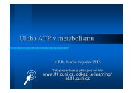 Ãloha ATP v metabolismu