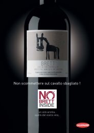 no brett inside - InfoWine.Com