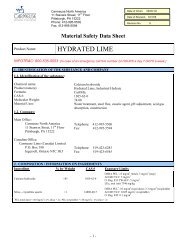 MSDS - Colonial Chemical Solutions