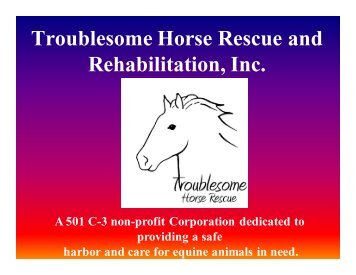 Troublesome Horse Rescue and Rehabilitation