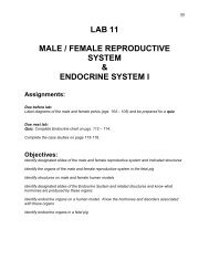lab 11 male / female reproductive system & endocrine system i