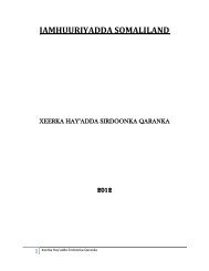 National Intelligence Agency Establishment Bill - Somaliland Law