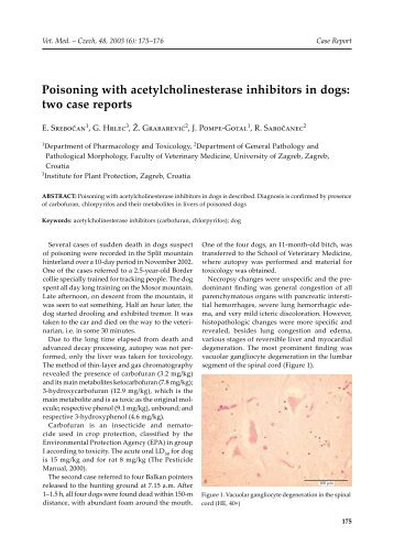 Poisoning with acetylcholinesterase inhibitors in dogs: two case ...