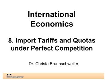 Import Tariffs and Quotas under Perfect Competition - CER-ETH