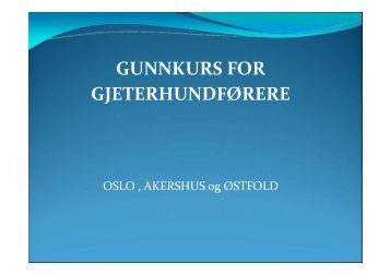 Grunnkurs gjeterhund - Norsk Sau og Geit