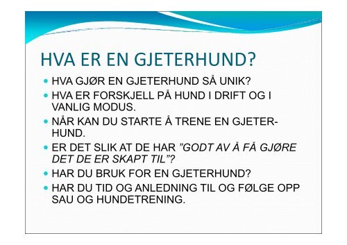 Grunnkurs gjeterhund - Norsk Sau og Geit