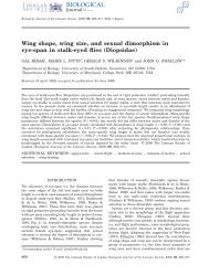 Wing shape, wing size, and sexual dimorphism in eye-span in stalk ...