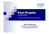 Magdeburger Leitfaden zur Peereinheit – Vortrag Martin Wollbrandt ...