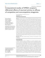 Computational studies of NMDA receptors: differential effects of ...