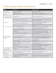 Troubleshooting: Protein Electrophoresis - Mediatech, Inc.