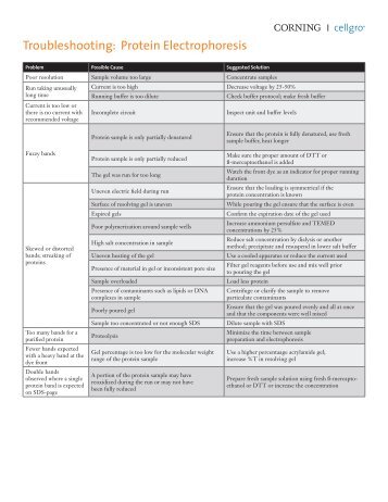 Troubleshooting: Protein Electrophoresis - Mediatech, Inc.