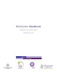 Follicle Handbook - Oncofertility Consortium - Northwestern University