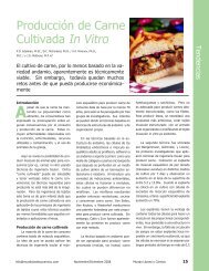 ProducciÃ³n de Carne Cultivada In Vitro - AlimentariaOnline