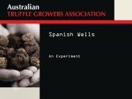 Spanish Wells, Graham Duell