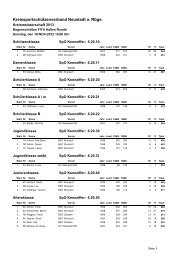 Kreismeisterschaft 2013 Bogen FITA Halle - KSSV Neustadt a. Rbge.