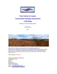 From Cairns to Craters: Conservation Heritage Assessment of ...