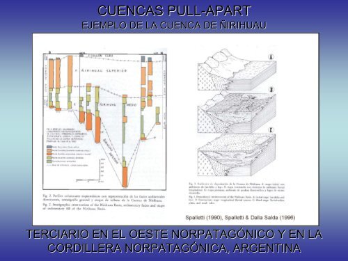 NOCIONES SOBRE LAS CUENCAS SEDIMENTARIAS EN EL ...