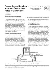 Proper Semen Handling Improves Conception Rates of Dairy Cows